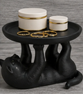 Cat Organizer