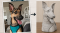 *Custom Pet Replica - SOLID COLOR*