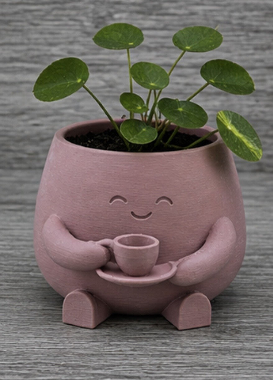 Smiley Planter/Organizer