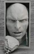 Unpainted/Solid Color Voldemort Book Nook