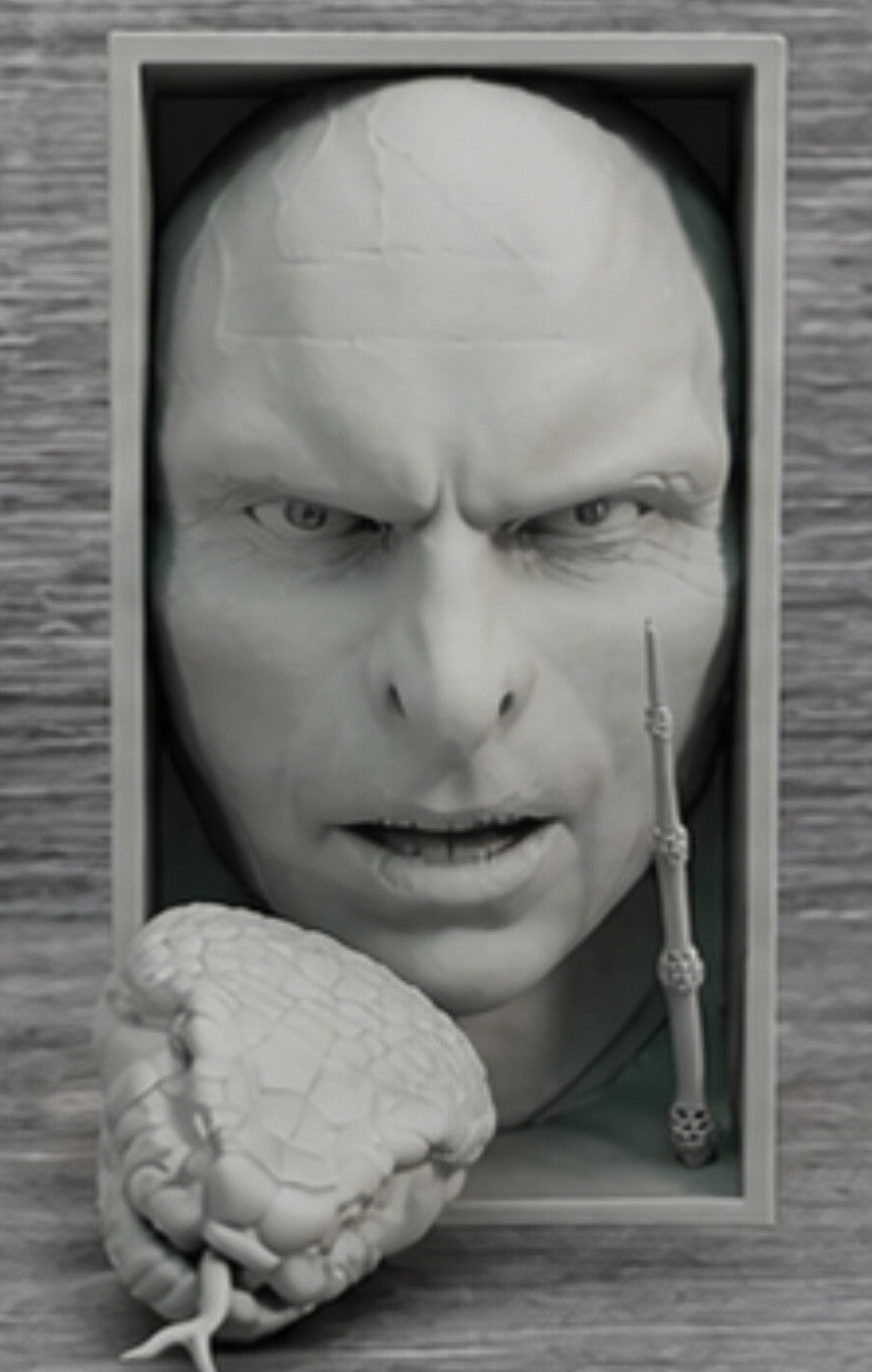 Unpainted/Solid Color Voldemort Book Nook